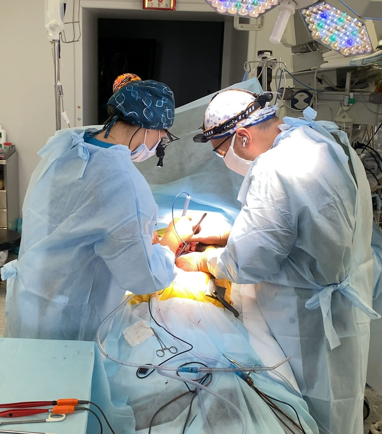 СТРАВОХІД ШЛУНОК, ТОНКИЙ ТА ТОВСТИЙ КИШЕЧНИК