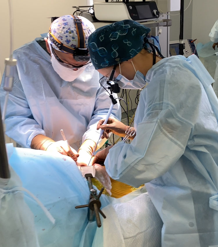 ХІРУРГІЯ ГРИЖ